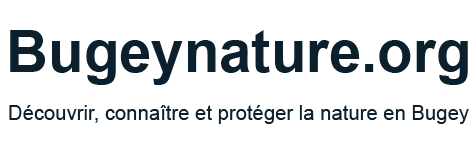Bugey Nature Logo