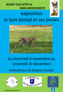 Exposition "Le lynx boréal et ses proies" @ Brégnier-Cordon