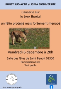 Causerie sur le Lynx Boréal "Un félin protégé mais fortement menacé" @ Saint Benoit